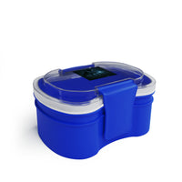Stylish Two-Tier Bento Box for Meals on the Go, Lunch Container for Adults, Meal Prep, School Lunches, Unique Gift Idea